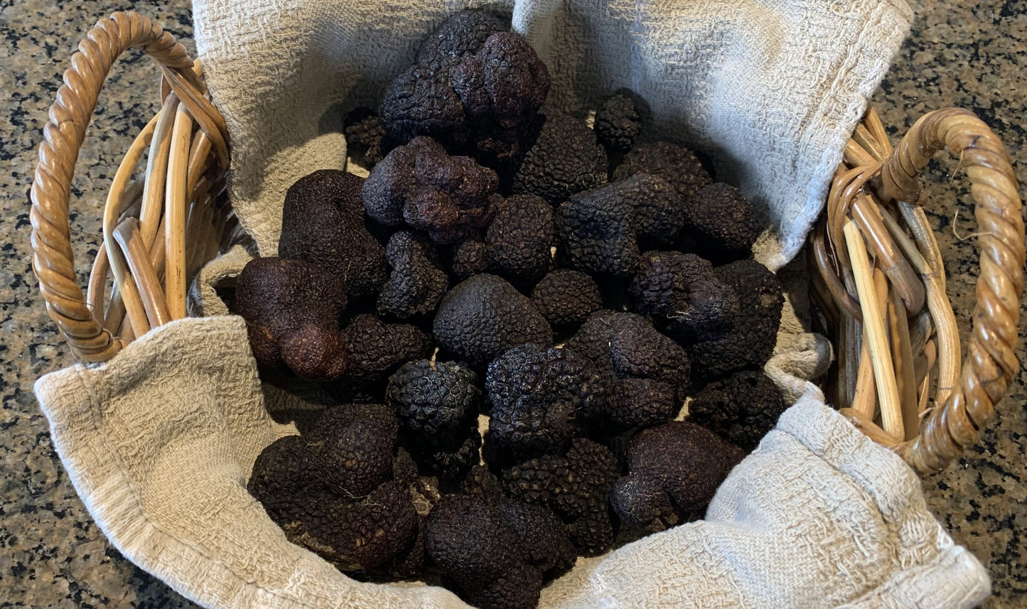 Black Périgord Truffles